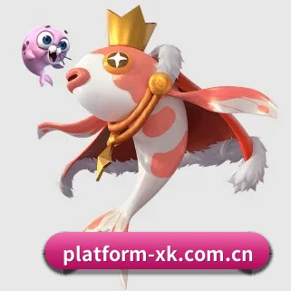 xk体育 APP